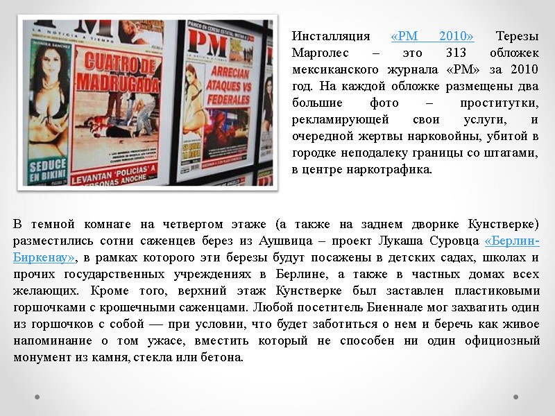 Инсталляция «РМ 2010» Терезы Марголес – это 313 обложек мексиканского журнала «PM» за 2010